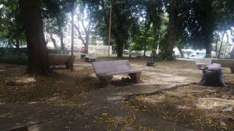 Parque Otto Molina 768x432