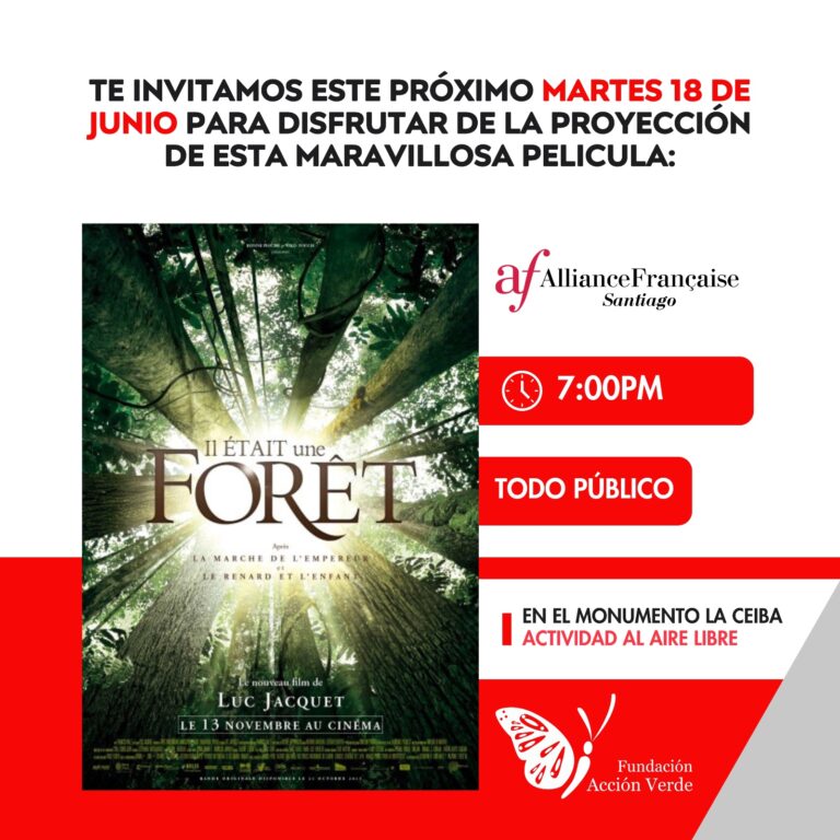 foret 768x768