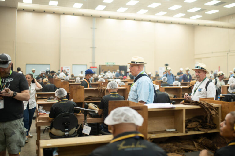 La Aurora Factory 3 1024x681 1 768x511